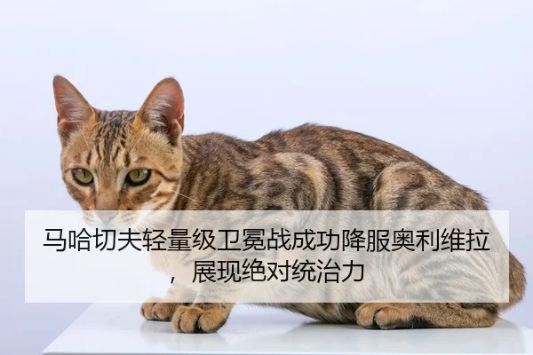 马哈切夫轻量级卫冕战成功降服奥利维拉，展现绝对统治力