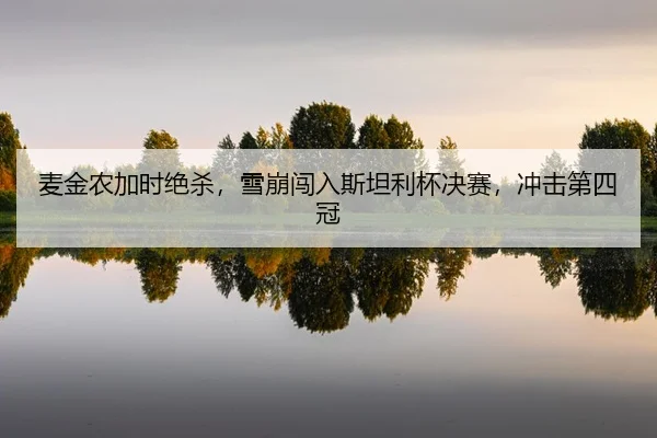 mai-jin-nong-jia-shi-jue-sha-xue-beng-chuang-ru-si-tan-li-bei-jue-sai-chong-ji-di-si-guan-2-686.jpg