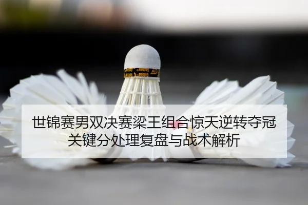 shi-jin-sai-nan-shuang-jue-sai-liang-wang-zu-he-jing-tian-ni-zhuan-duo-guan-guan-jian-fen-chu-li-fu-pan-yu-zhan-shu-jie-2-690.jpg