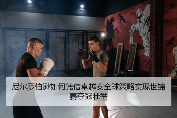 ni-er-luo-bo-xun-ru-he-ping-jie-zhuo-yue-an-quan-qiu-ce-lve-shi-xian-shi-jin-sai-duo-guan-zhuang-ju-2-400.jpg